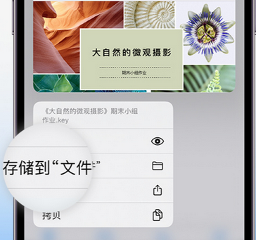 杭州apple维修中心分享iPhone文件应用中存储和找到下载文件