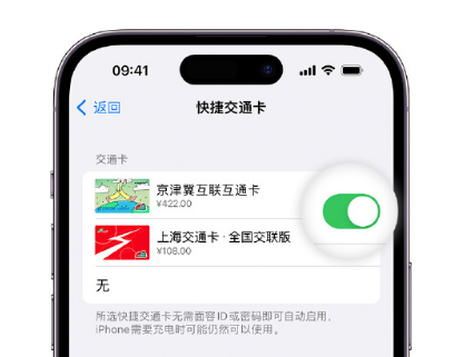 杭州apple维修点分享iPhone上更换Apple Pay快捷交通卡手绘卡面 