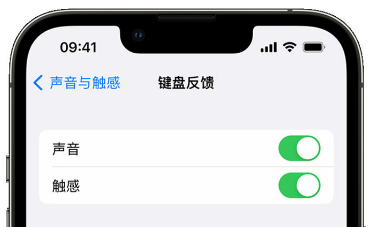 杭州苹果手机维修分享iPhone 14触感键盘使用方法 