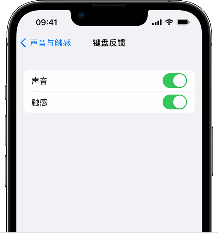 杭州苹果14维修店分享如何在 iPhone 14 机型中使用触感键盘 