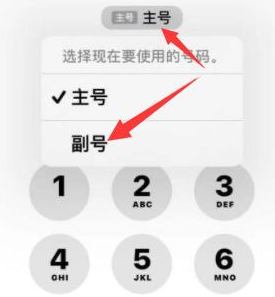 杭州苹果14维修店分享iPhone 14 Pro Max使用副卡打电话的方法 