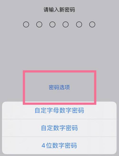 杭州苹果14维修分享iPhone 14plus设置密码的方法 