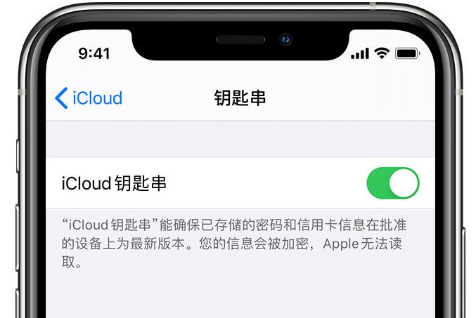 杭州苹果手机维修分享在 iPhone 上开启 iCloud 钥匙串之后会储存哪些信息 