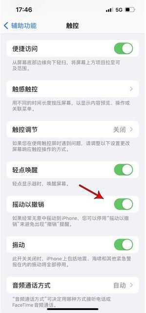 杭州苹果手机维修分享iPhone手机如何设置摇一摇删除文字 