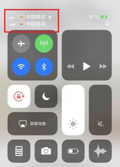 杭州苹果手机维修分享为 iPhone 12 双卡设置标签 