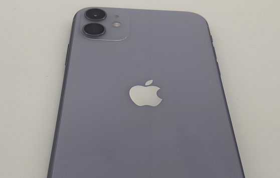 杭州苹果11系统维修分享iPhone11手机系统崩溃无法开机如何解决 